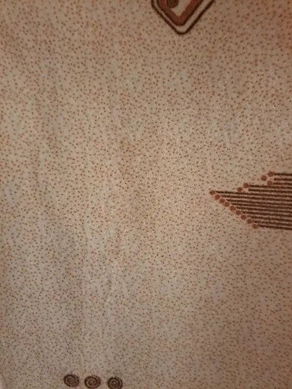 موکت 2/07×5/20 وتعدادی موکت کوچکتر