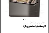 گاو صندوق آسانسوری