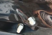 صافکاری تخصصی pdr PDR بدون رنگ با دستگاه