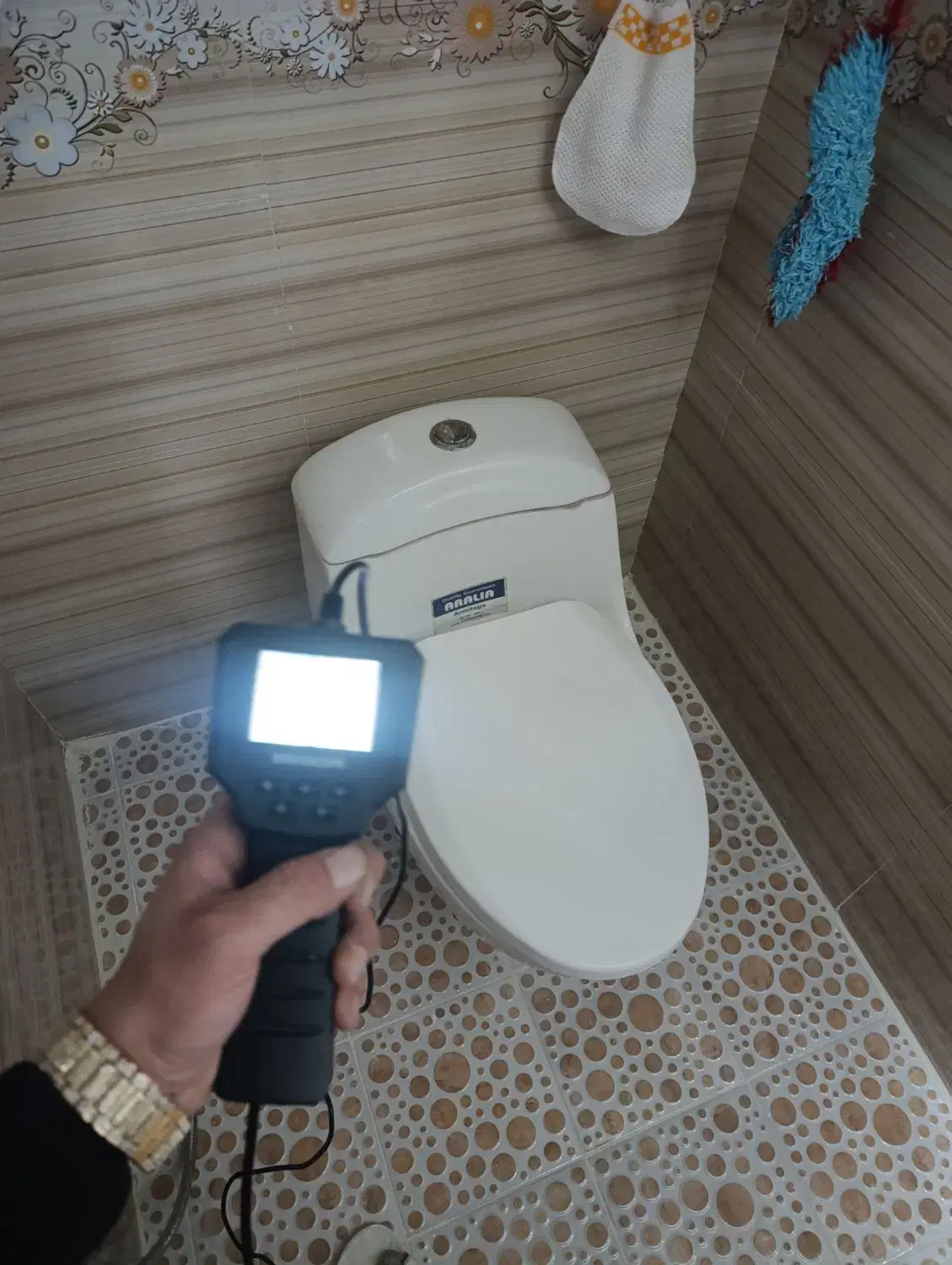 رفع نم زدگی