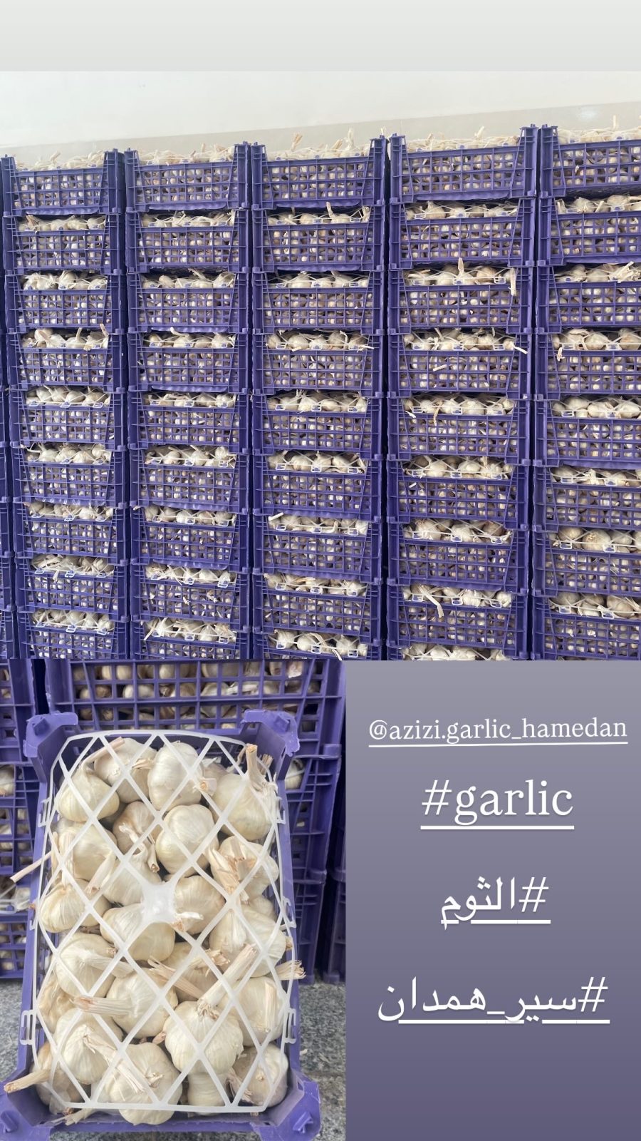 سير همدان