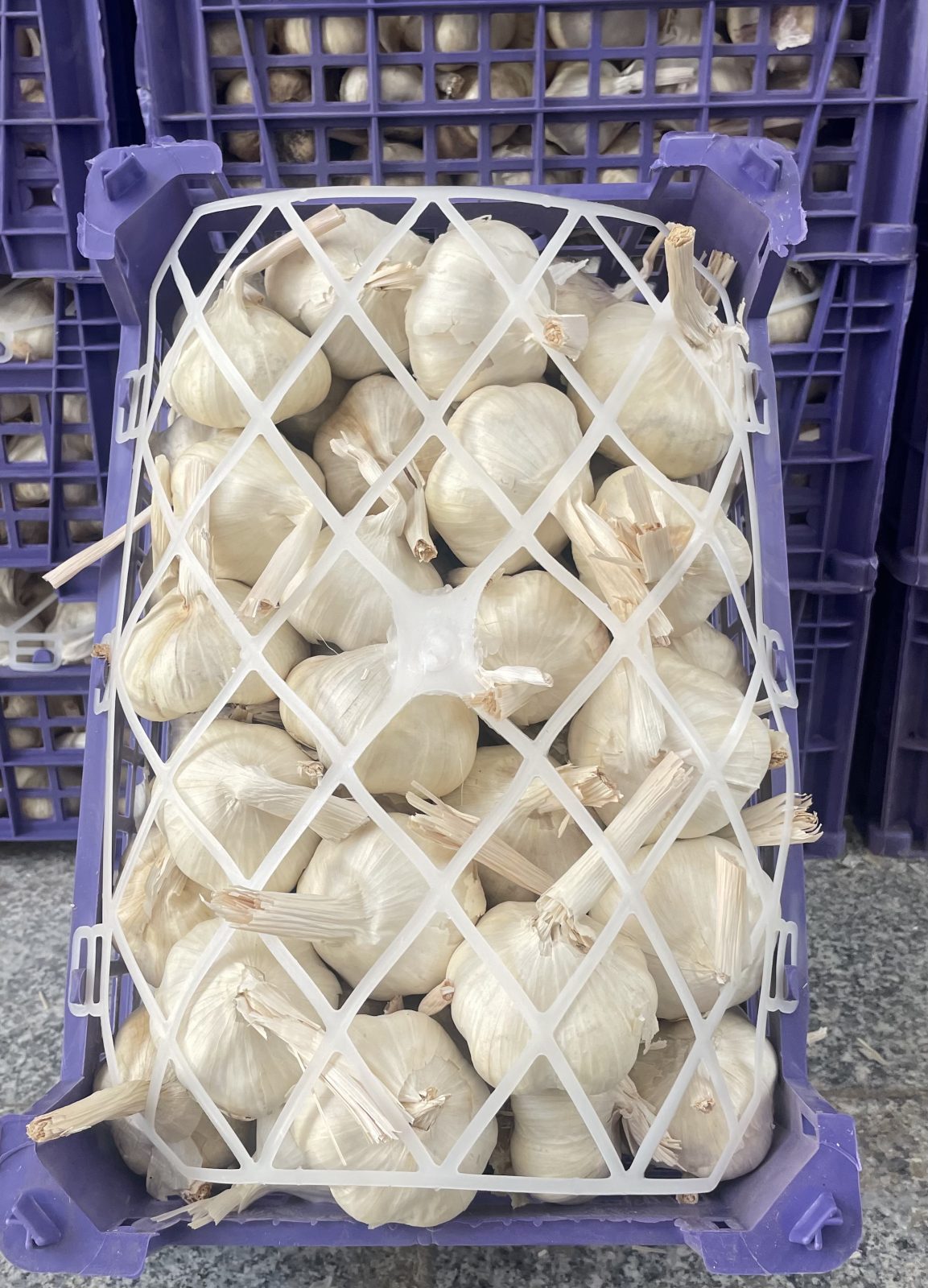 سير همدان
