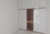 بلوارتوس65
